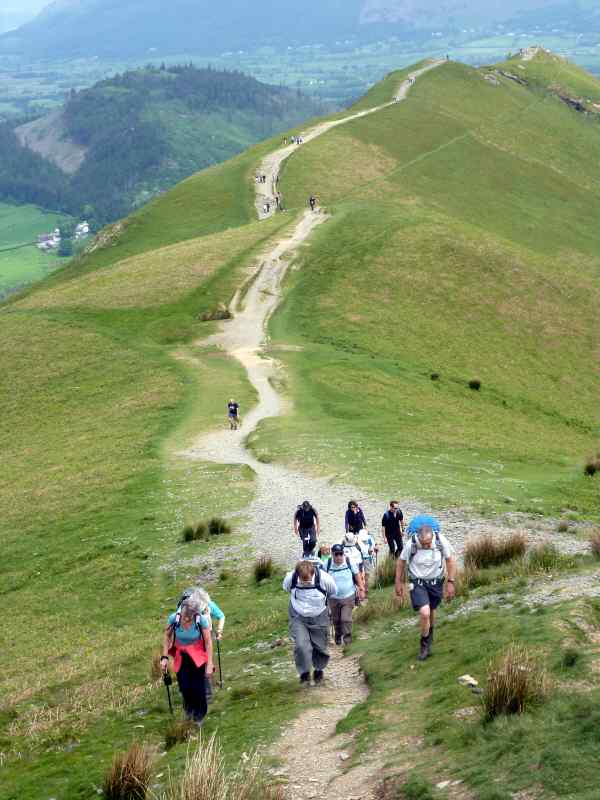 {short description of image}