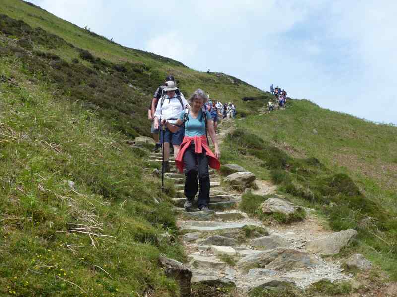 {short description of image}