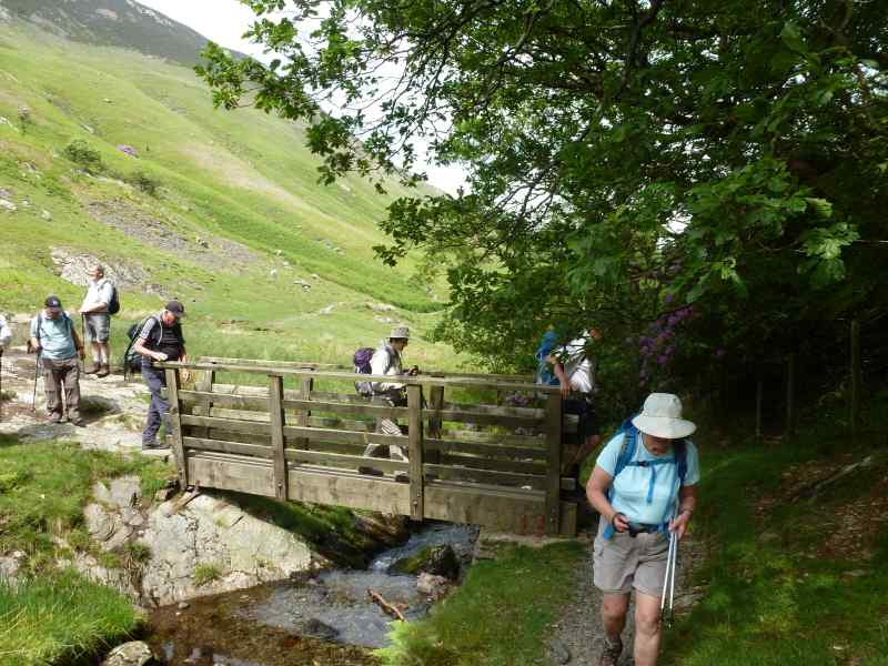 {short description of image}