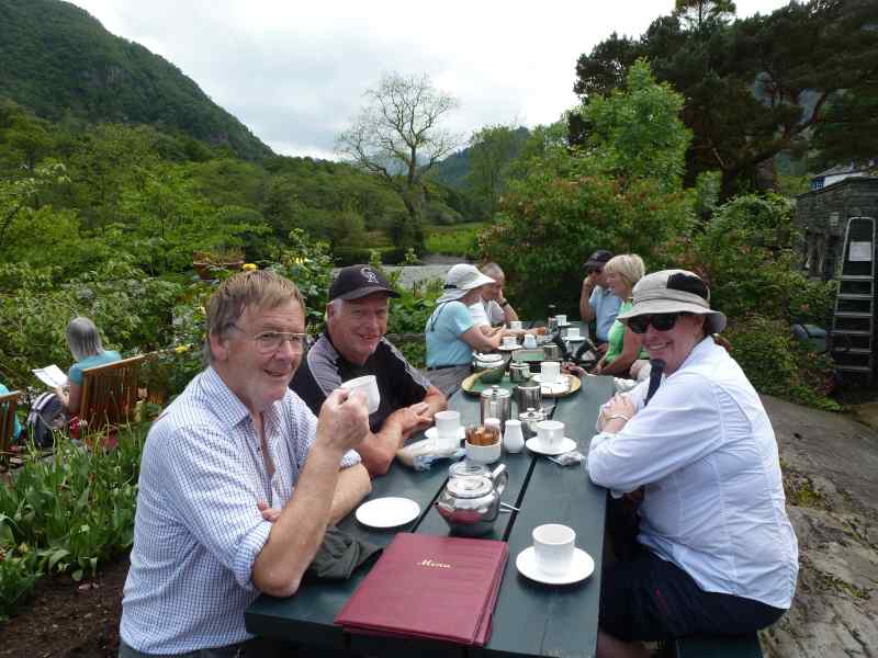 {short description of image}