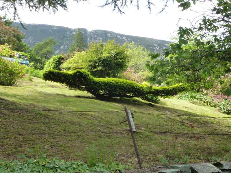 {short description of image}