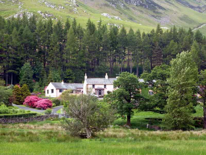 {short description of image}