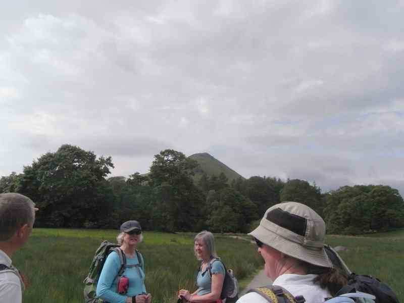 {short description of image}