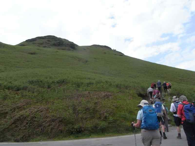 {short description of image}