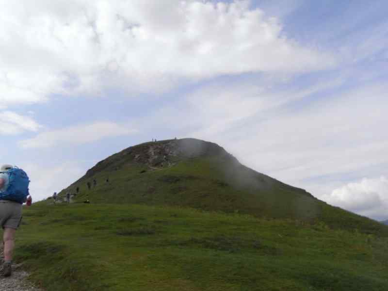 {short description of image}