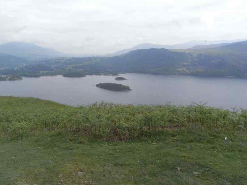 {short description of image}