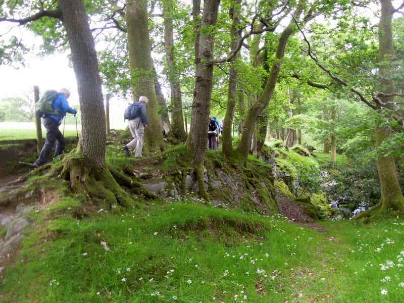 {short description of image}