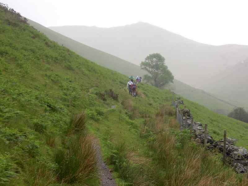 {short description of image}