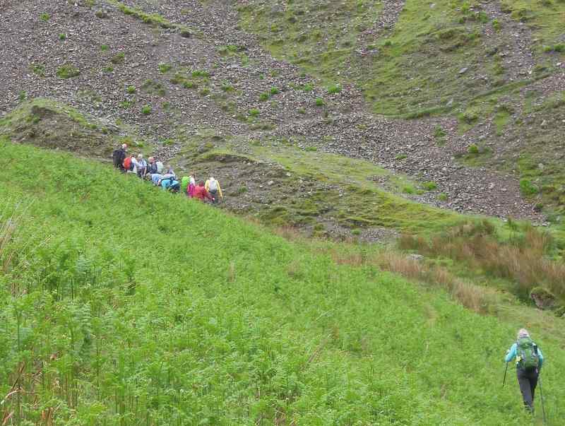 {short description of image}