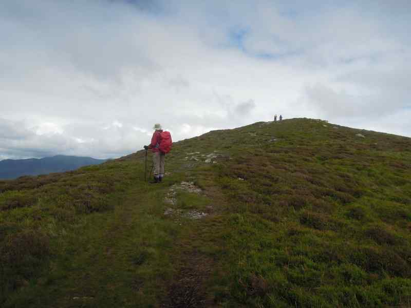 {short description of image}