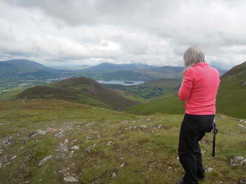 {short description of image}