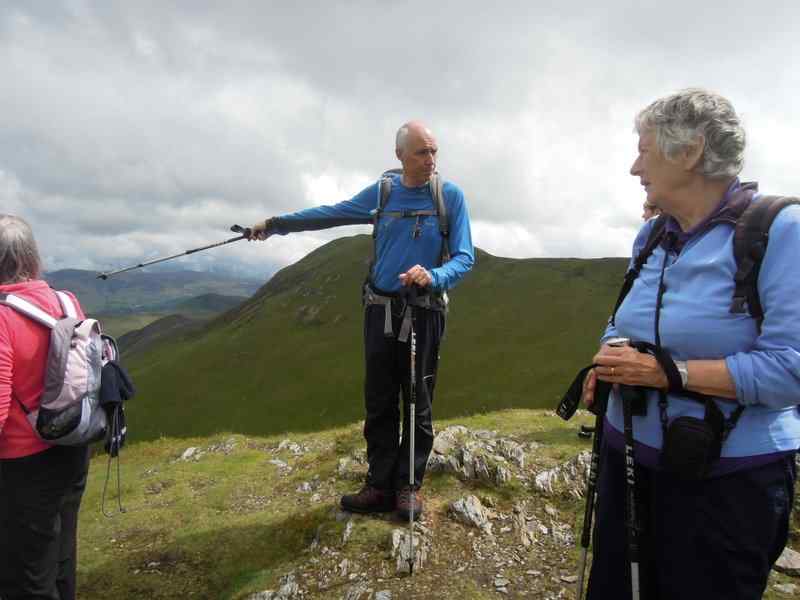 {short description of image}