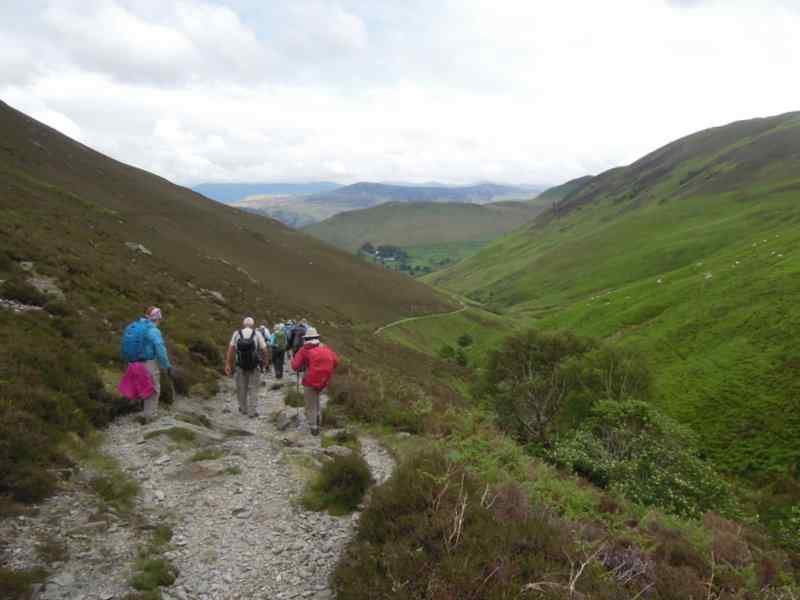 {short description of image}