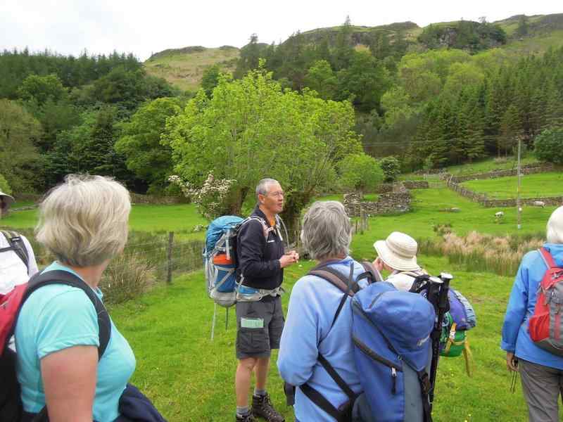 {short description of image}