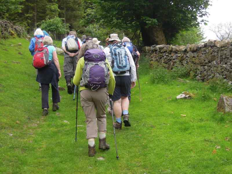 {short description of image}