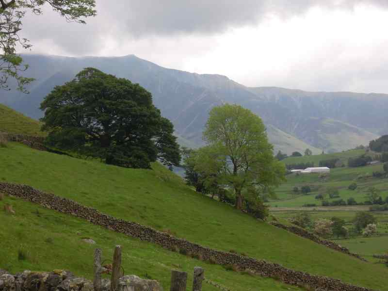 {short description of image}