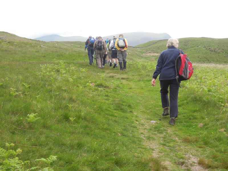 {short description of image}