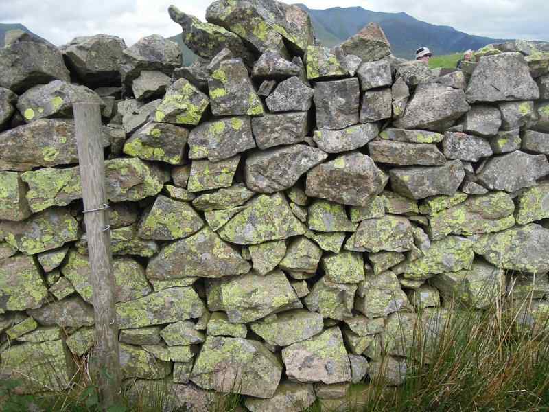 {short description of image}