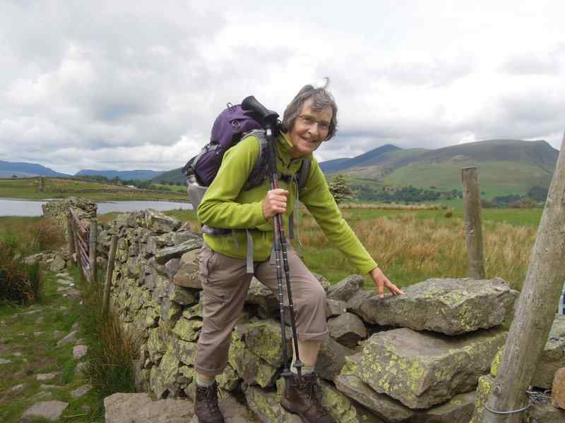 {short description of image}