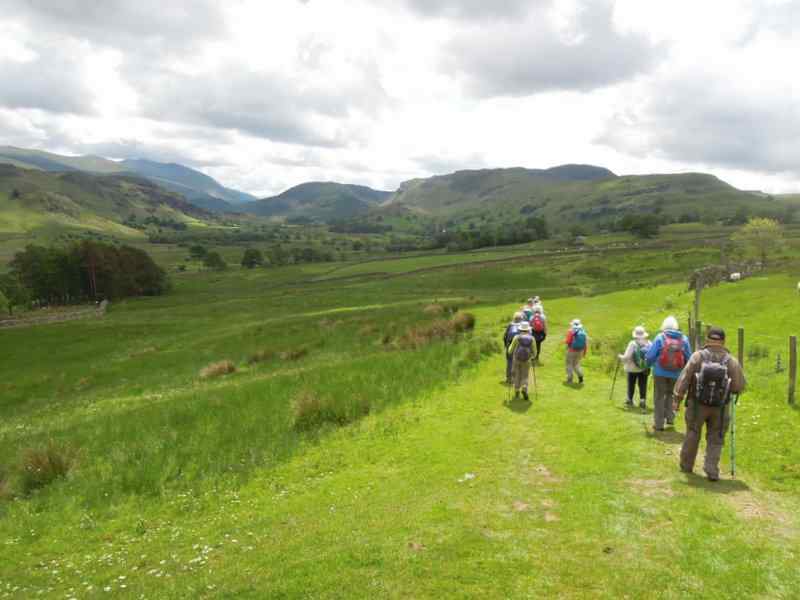 {short description of image}