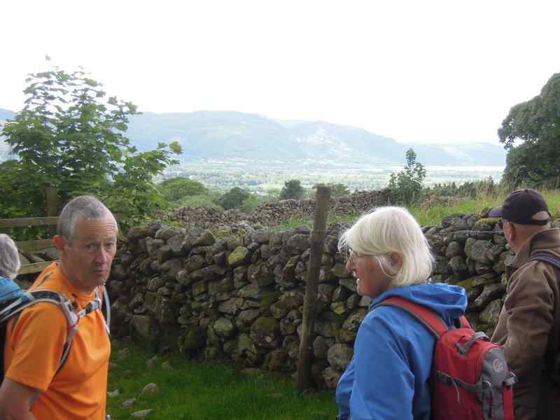 {short description of image}