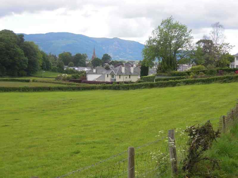 {short description of image}