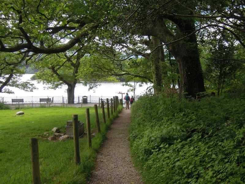 {short description of image}