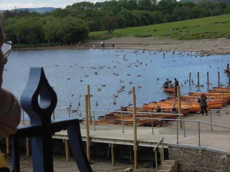 {short description of image}