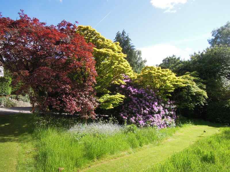 {short description of image}