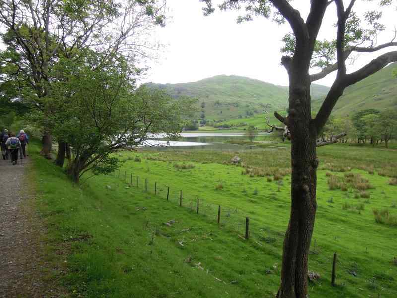 {short description of image}