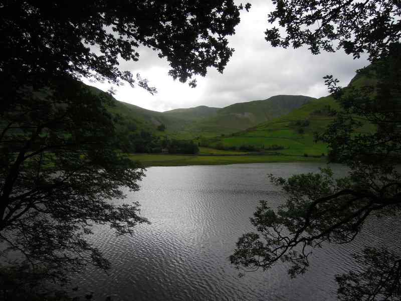 {short description of image}