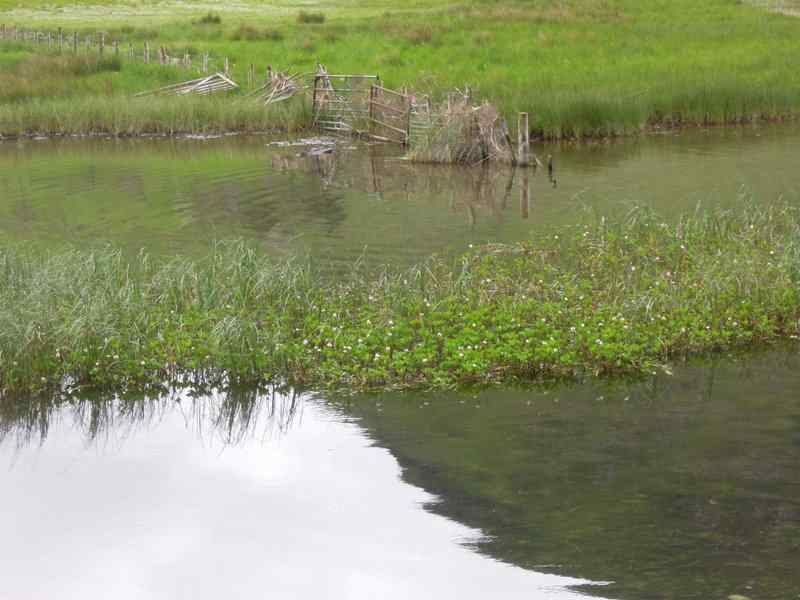 {short description of image}