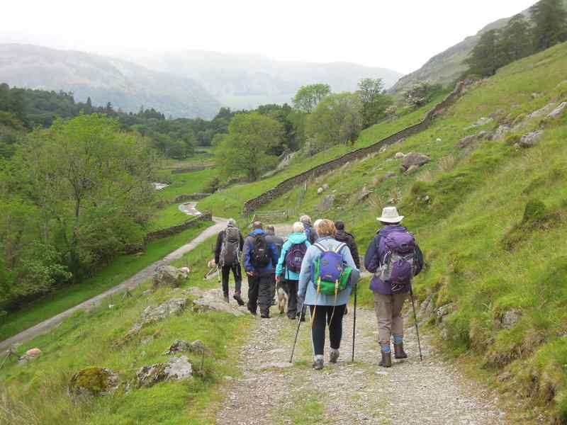 {short description of image}