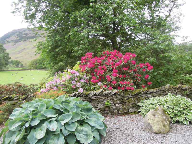 {short description of image}