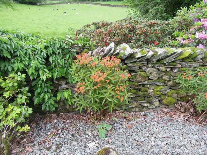 {short description of image}