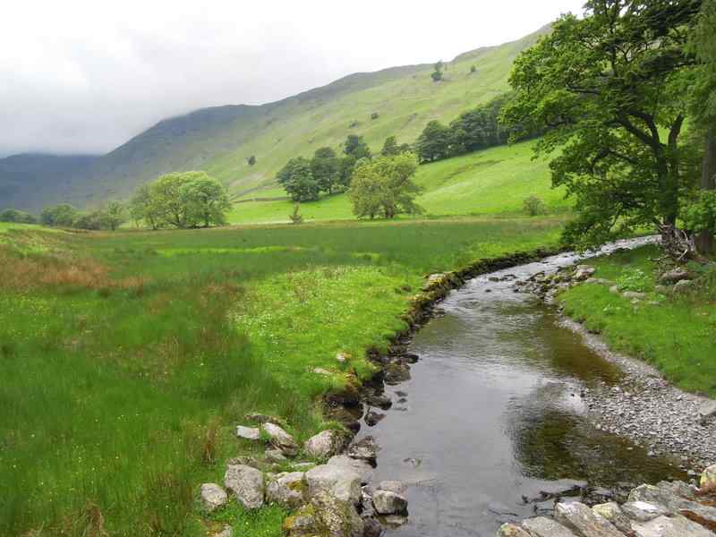 {short description of image}