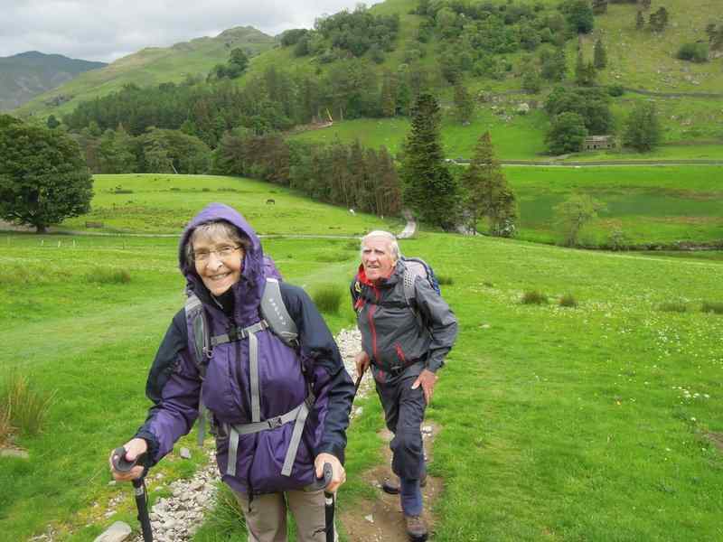 {short description of image}