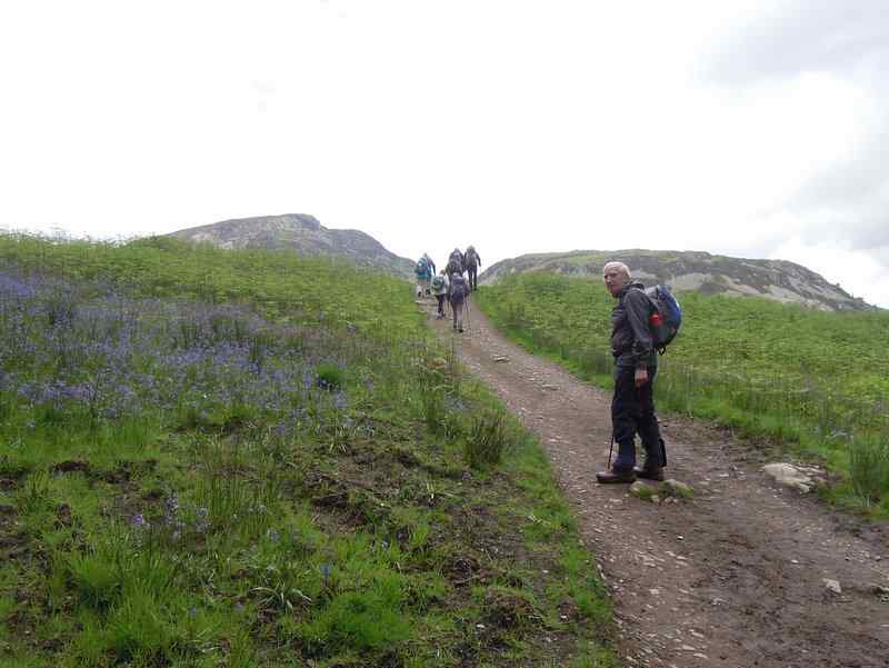 {short description of image}