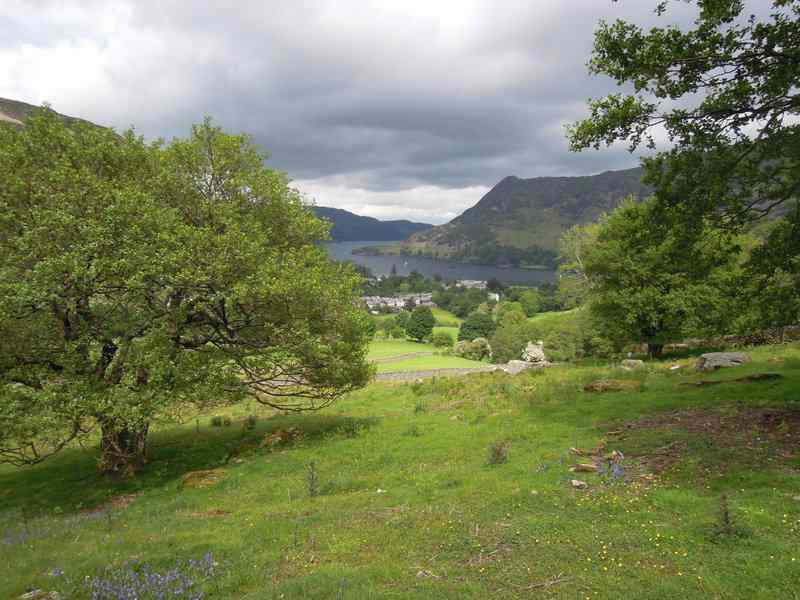 {short description of image}