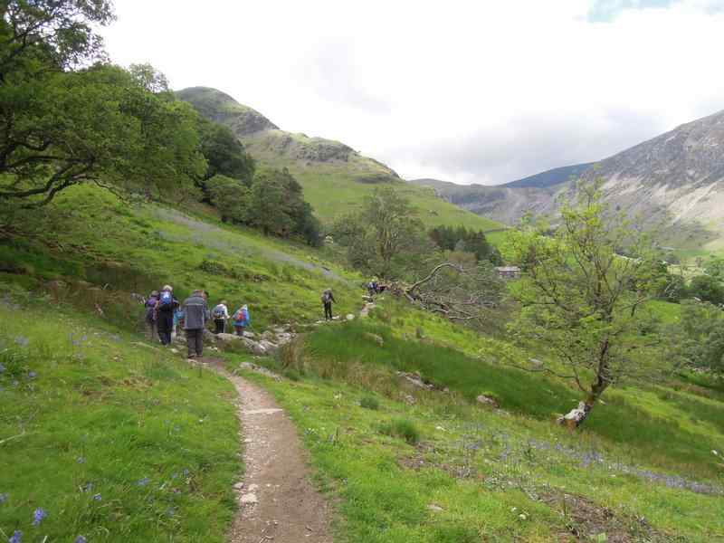 {short description of image}