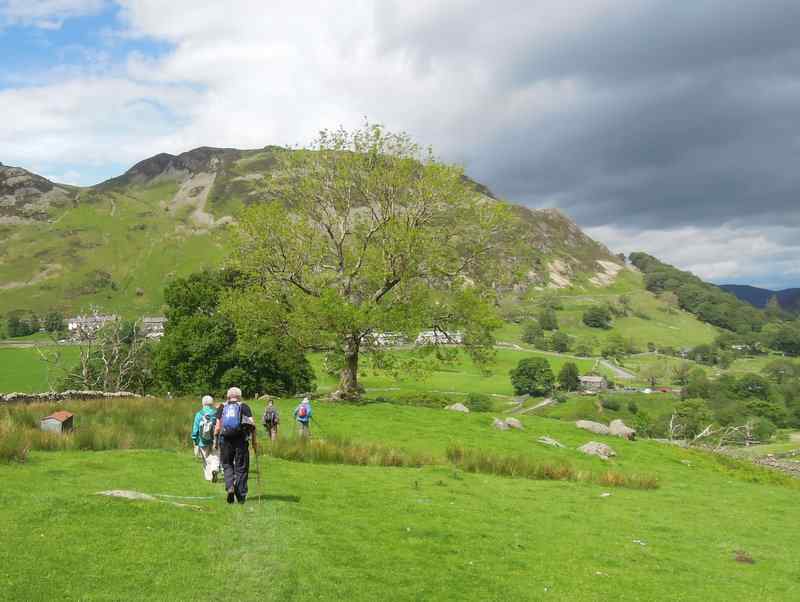 {short description of image}