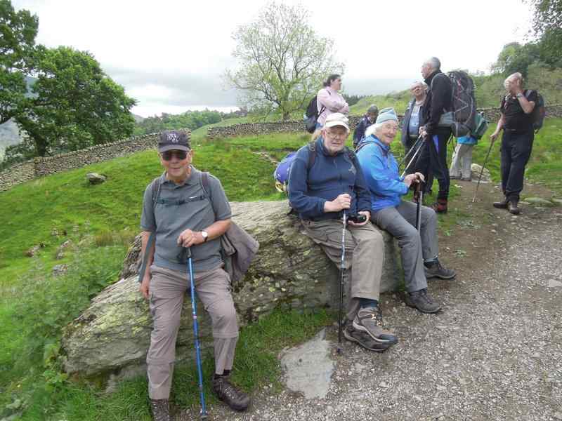 {short description of image}