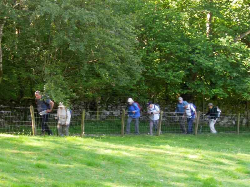 {short description of image}