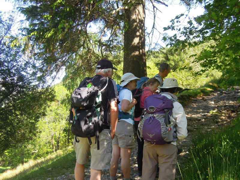 {short description of image}