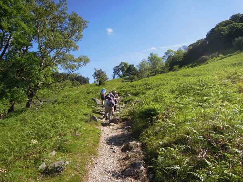 {short description of image}