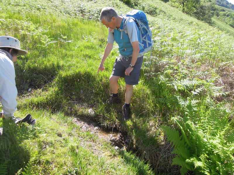 {short description of image}