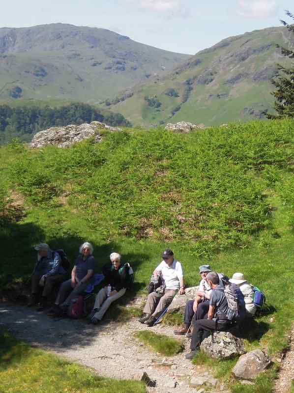 {short description of image}