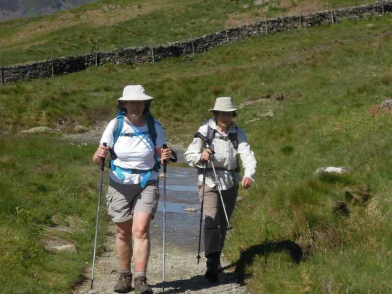 {short description of image}