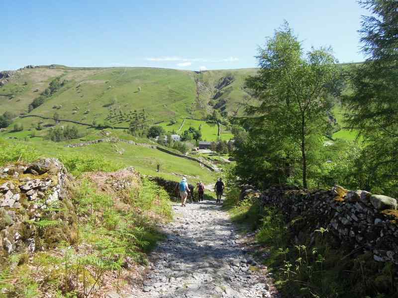 {short description of image}