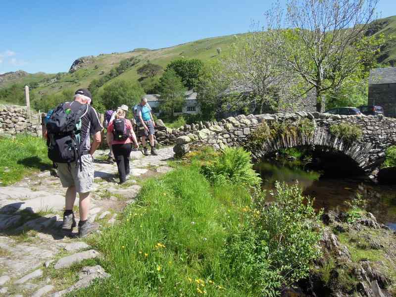 {short description of image}